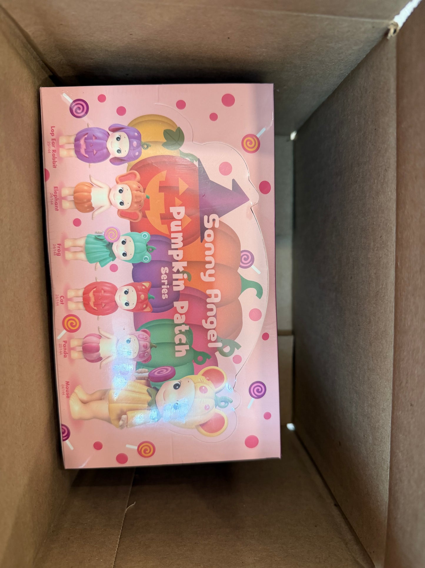 Pumpkin Patch Sonny Angel